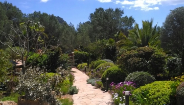 resa estates rental villa family ibiza betsy finca garden.jpg